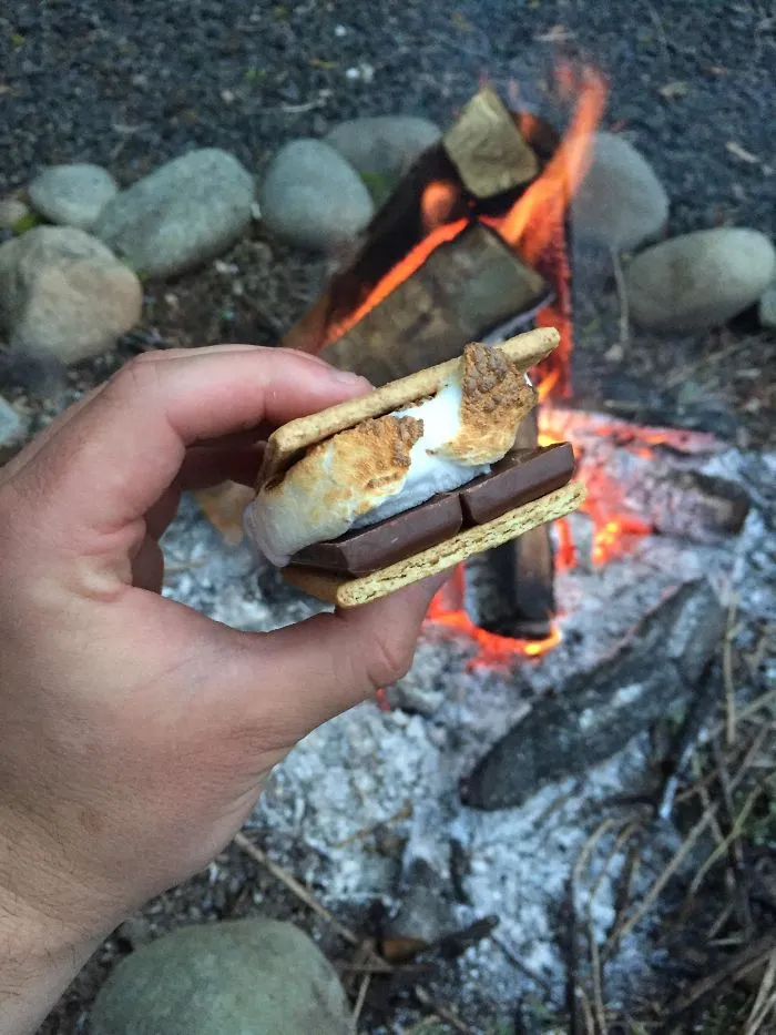 I Ate This Perfect, Old-Fashioned S'more