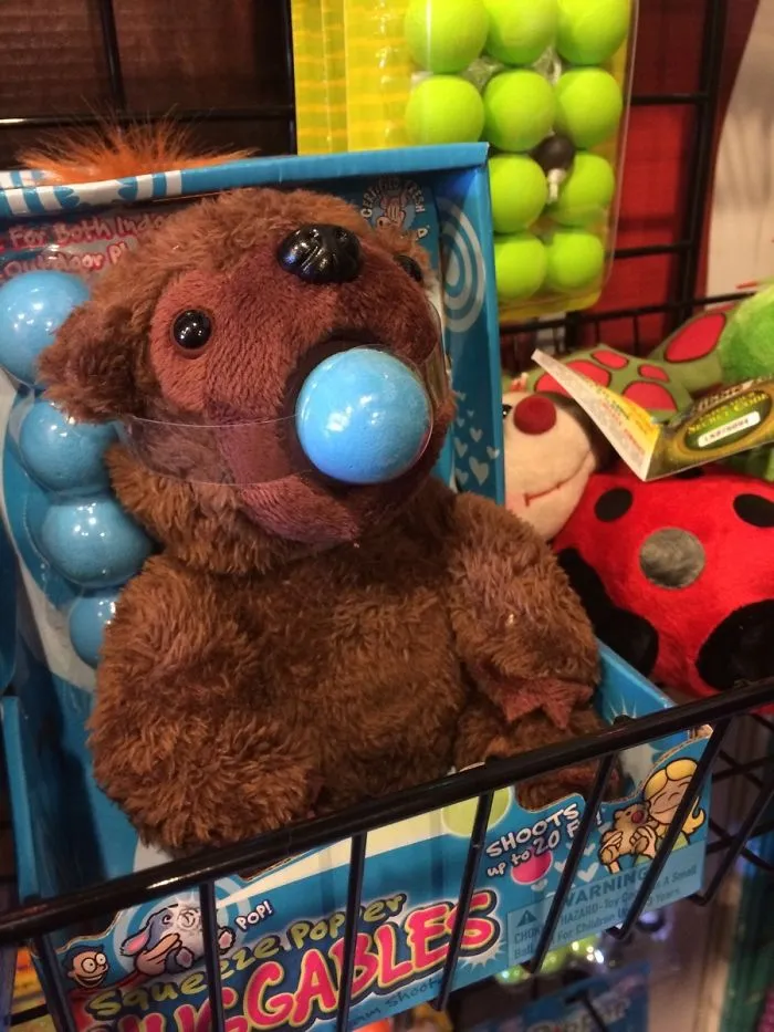 Children's Or Adult Toy?