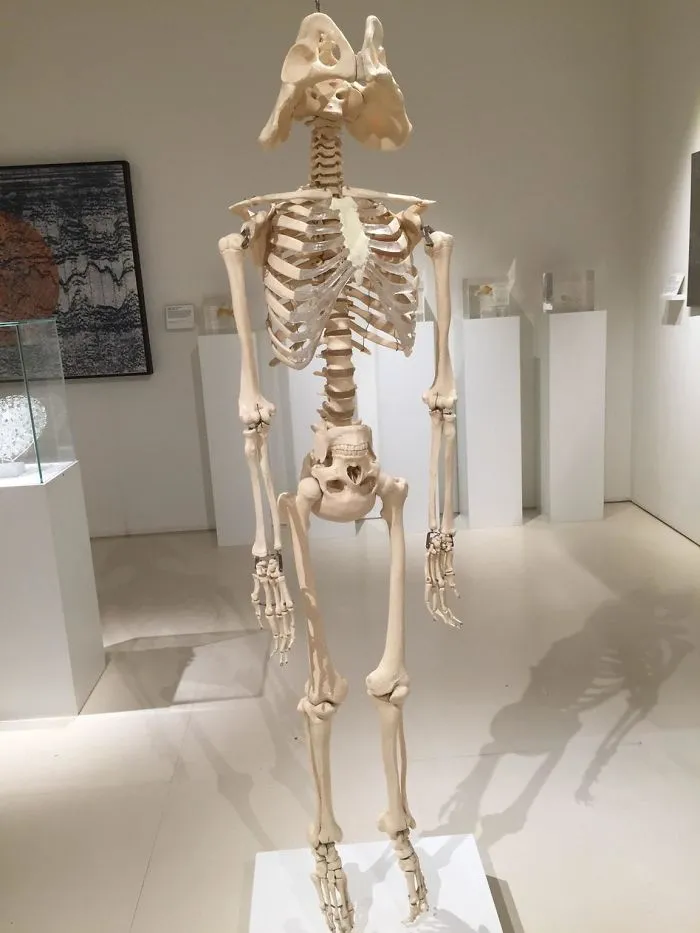 Hmmm