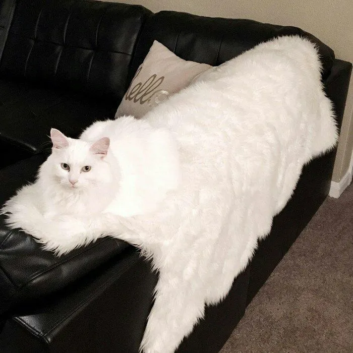 Hmmm