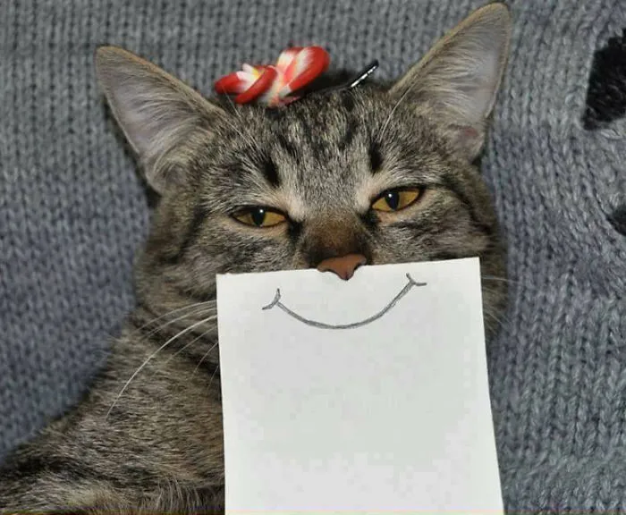Hmmm