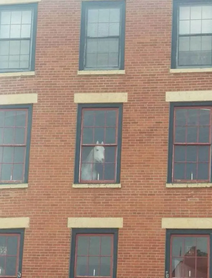 Hmmm