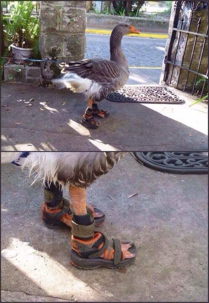 Hmmm
