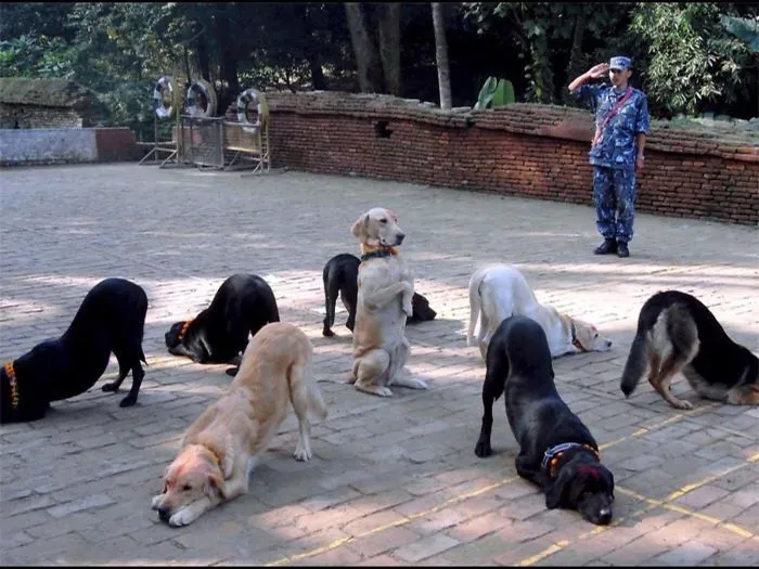 Hmmm