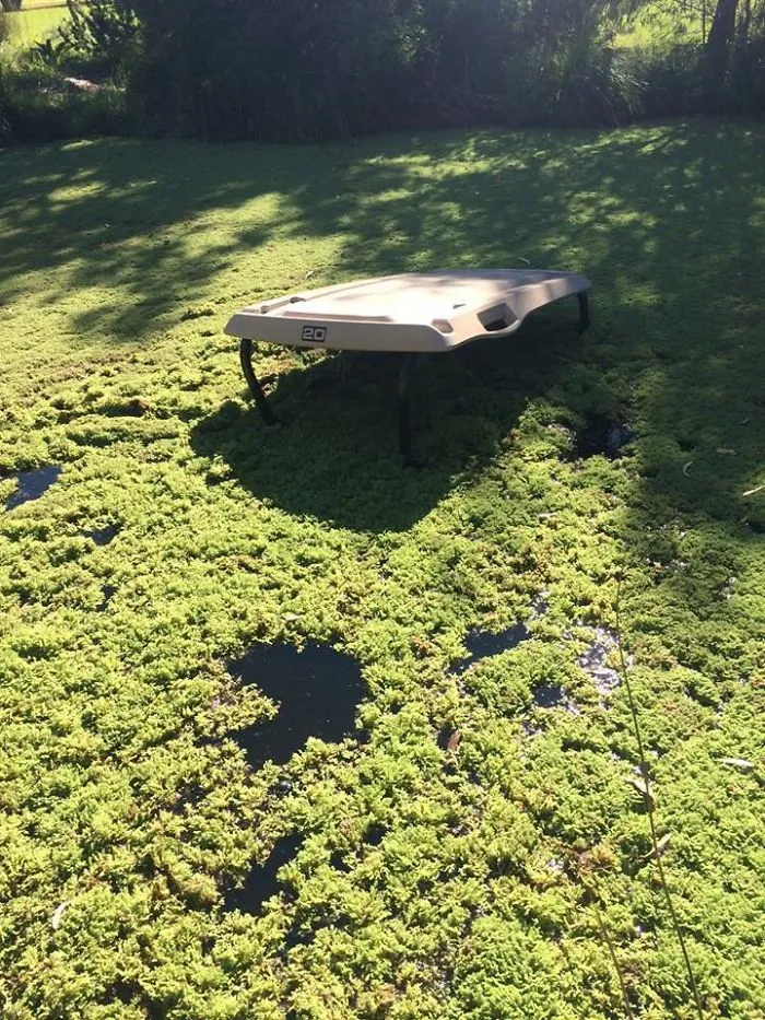 Oh Sh*t, That Wasn't Grass