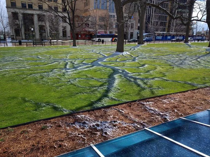 Unmelted Snow In The Shadows