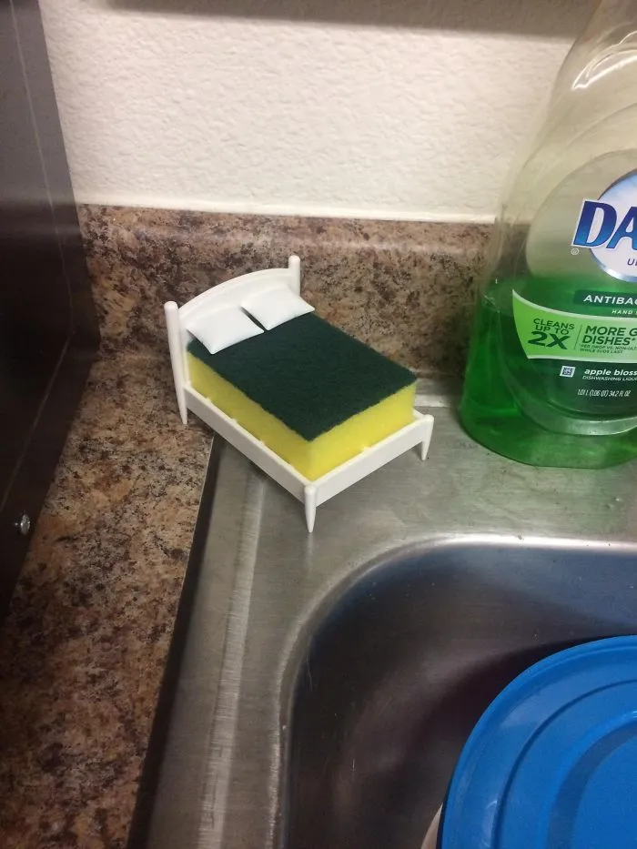 So My Wife Just Bought A Sponge Bed...(Repost From /r/pics)
