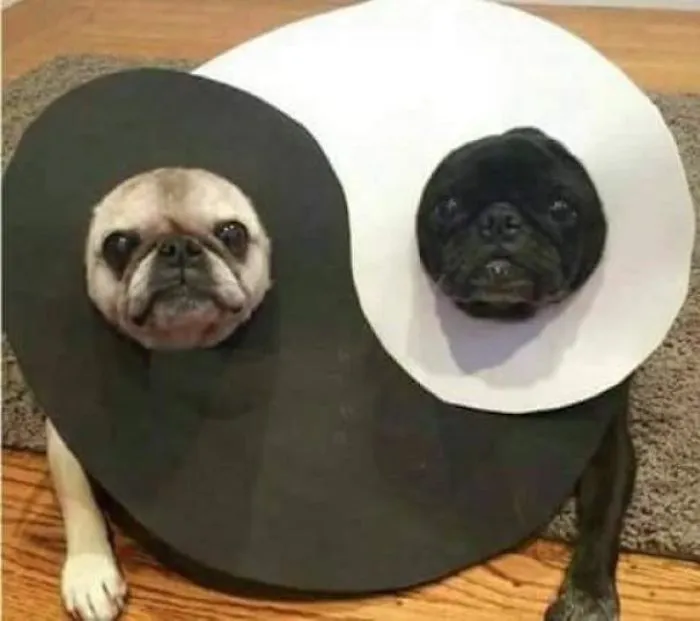 Hmmm