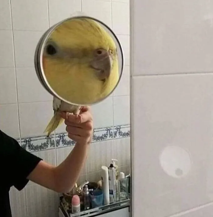 Hmmm