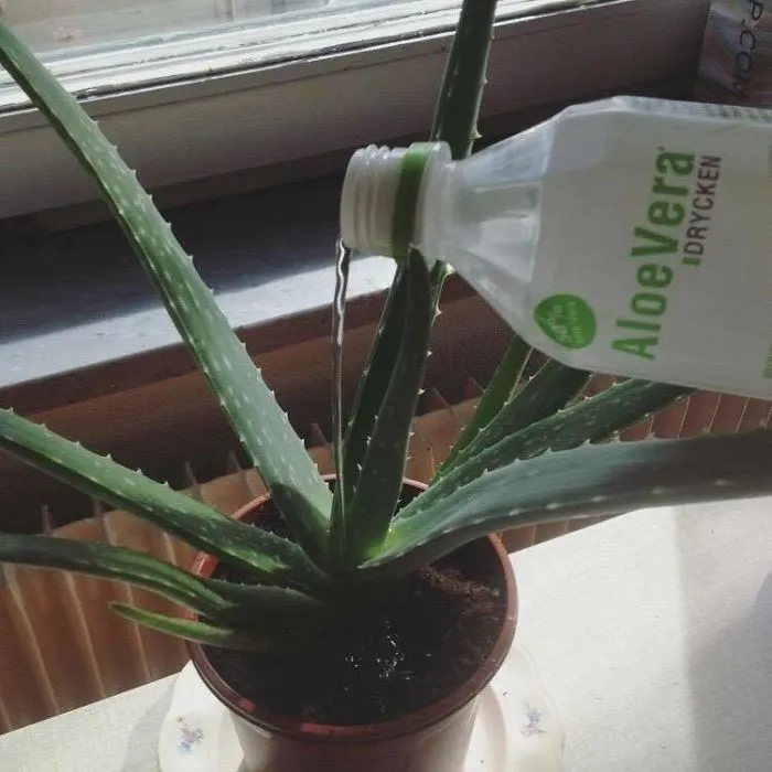 Hmmm