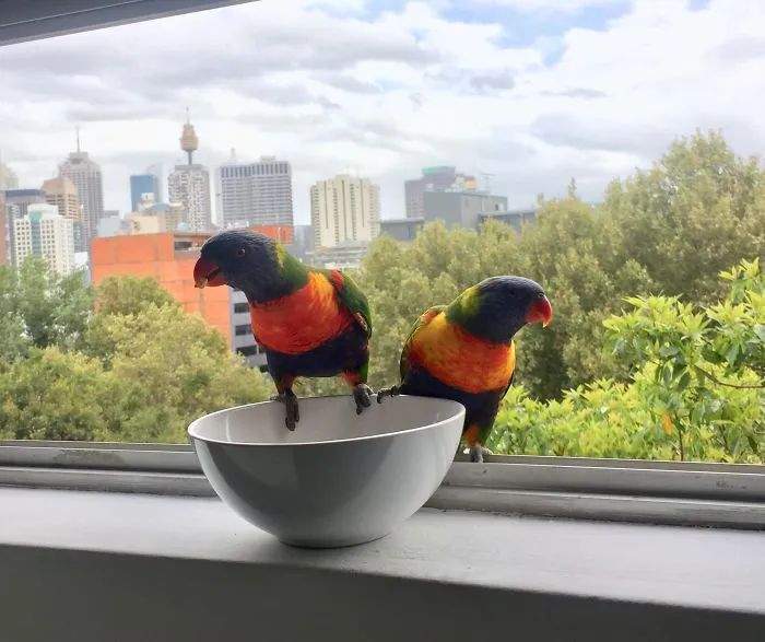 I Work On The 4th Floor Of A Building. I Have 2 Friends Who Come Visit Me