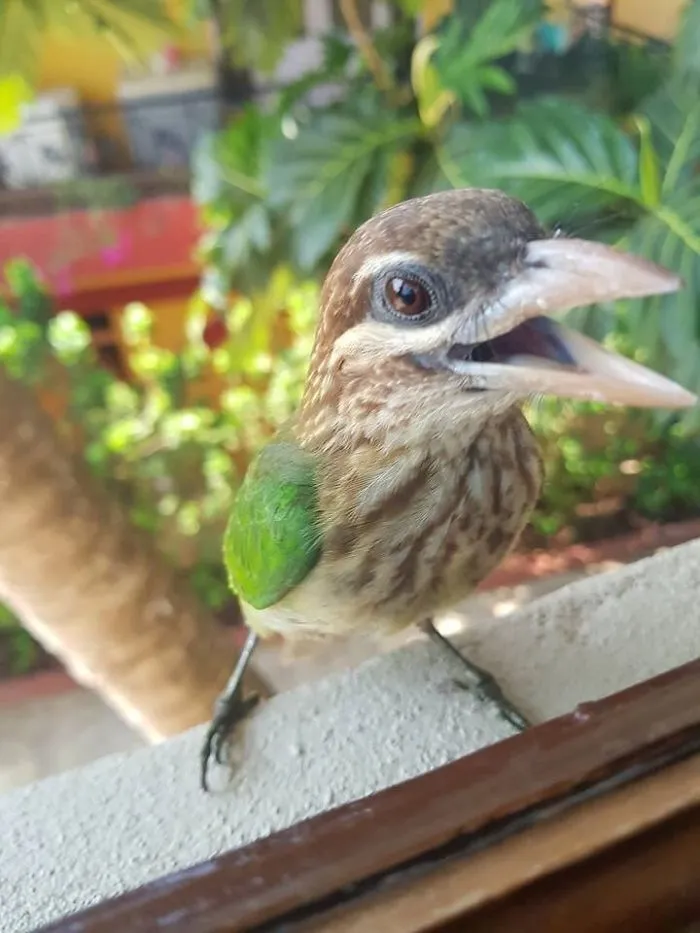 I Have Friens Too Who Visits Me Daily