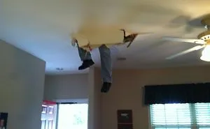 237 People Who Are Having A Worse Day Than You