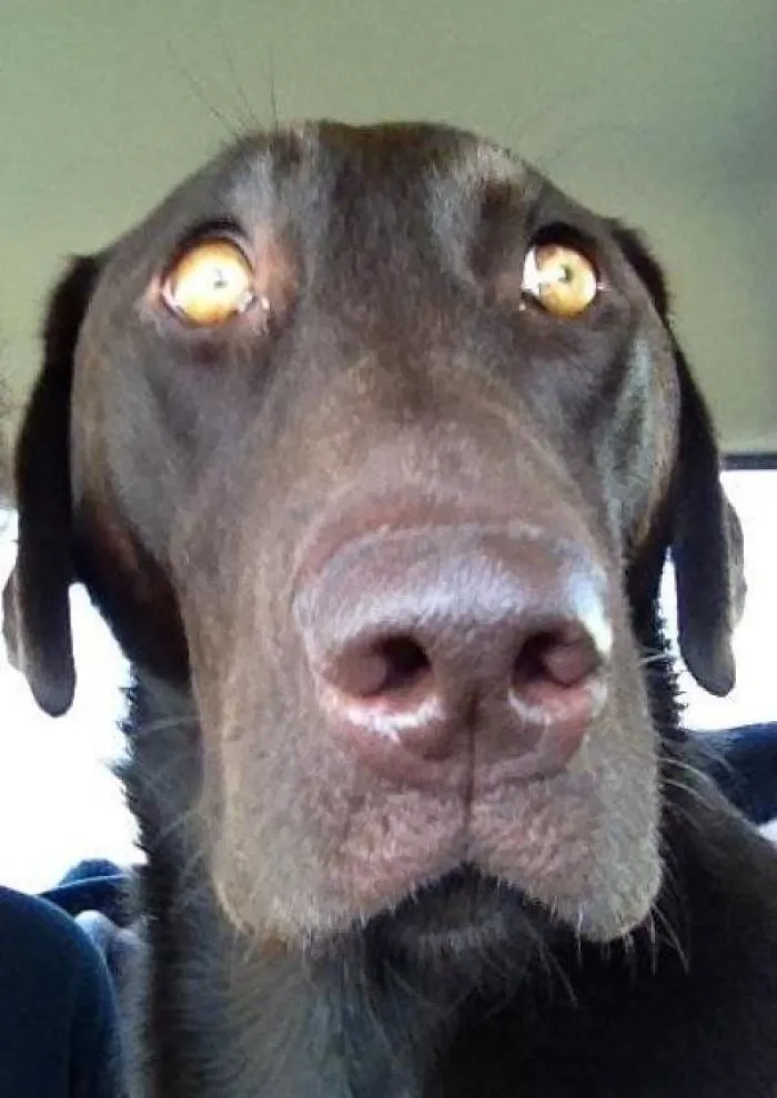 La cara de susto