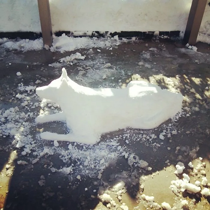 Heavy Snowfall Hits Tokyo, And The Results Are Pretty Much What You'd Expect