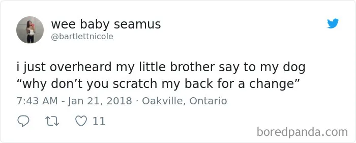 185 Times People Overheard The Most Hilarious Conversations That Were Too Good Not To Share