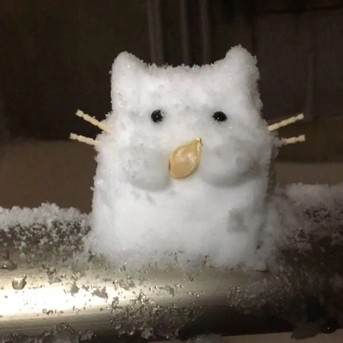 Cae una fuerte nevada en Tokyo y los resultados son los que todos esperábamos
