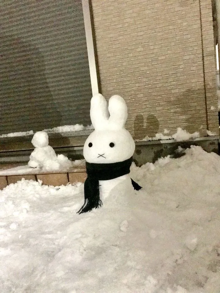 Heavy Snowfall Hits Tokyo, And The Results Are Pretty Much What You'd Expect
