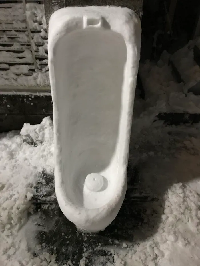 Cae una fuerte nevada en Tokyo y los resultados son los que todos esperábamos