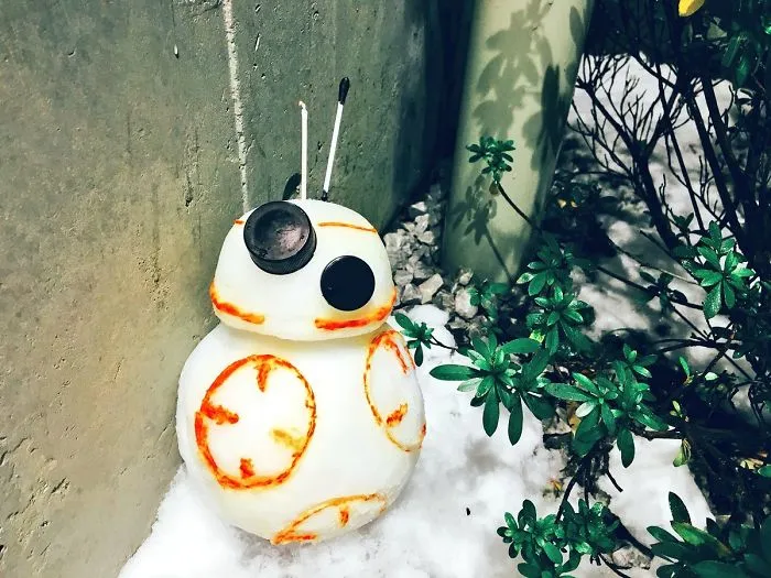 Cae una fuerte nevada en Tokyo y los resultados son los que todos esperábamos