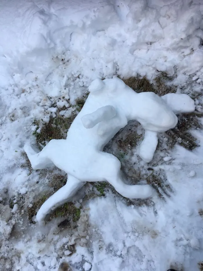 Heavy Snowfall Hits Tokyo, And The Results Are Pretty Much What You'd Expect