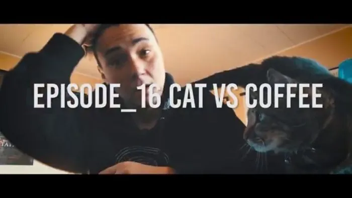 Hilarious Video Of Cat Harassing Human
