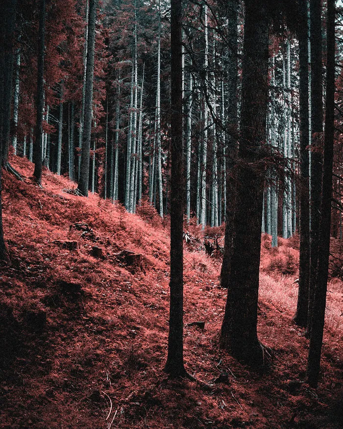 Here's How Colorblind People With Tritanopia See The World
