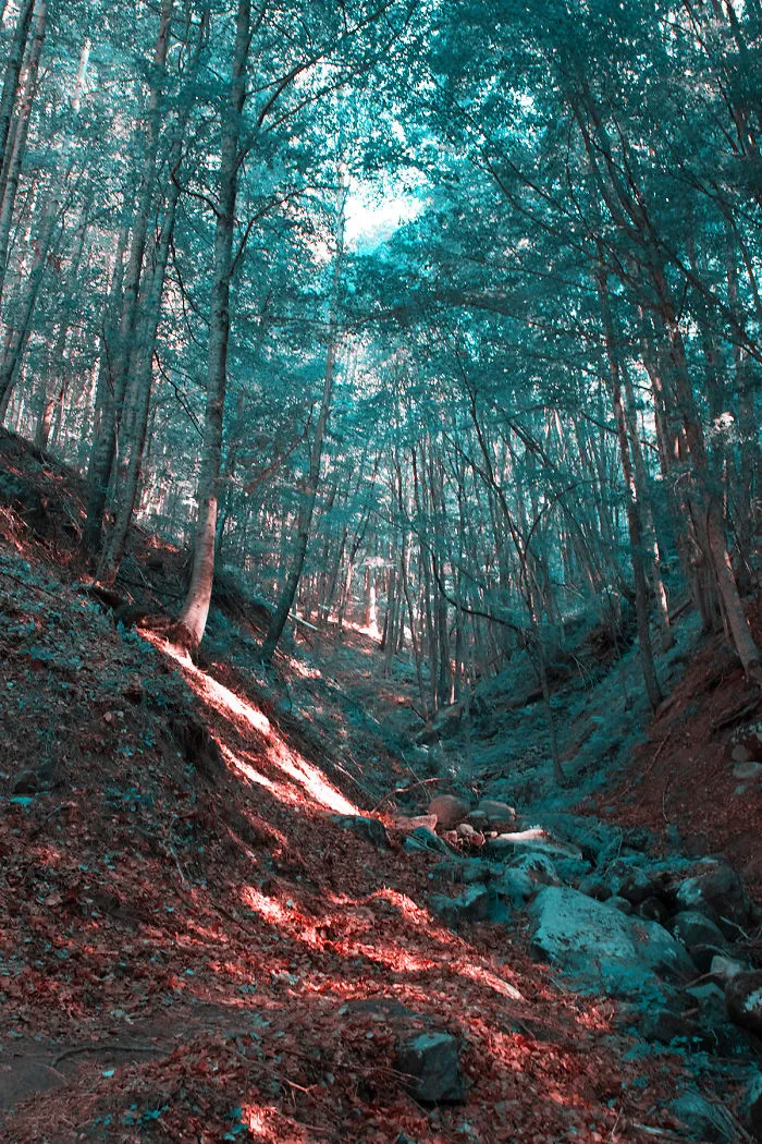 Here's How Colorblind People With Tritanopia See The World