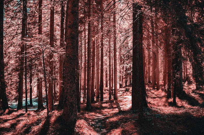 Here's How Colorblind People With Tritanopia See The World
