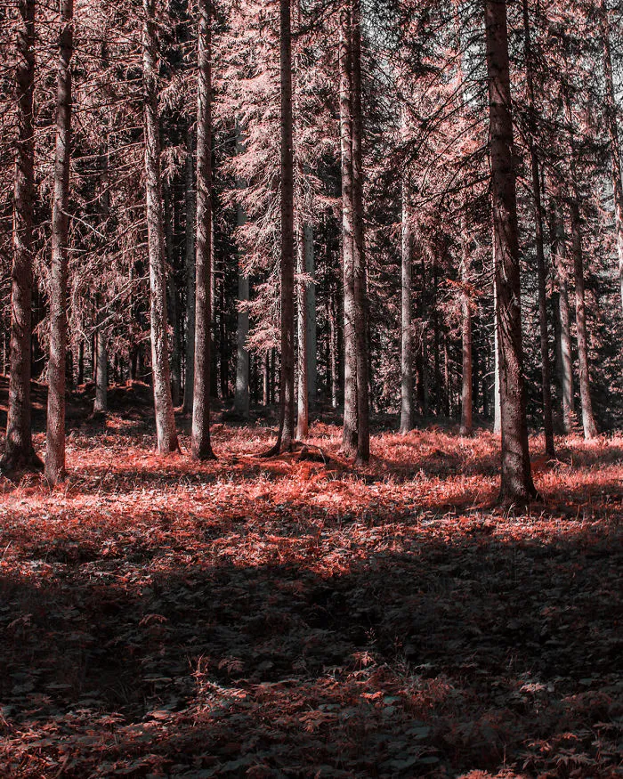 Here's How Colorblind People With Tritanopia See The World