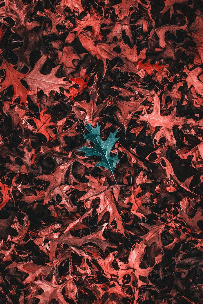 Here's How Colorblind People With Tritanopia See The World