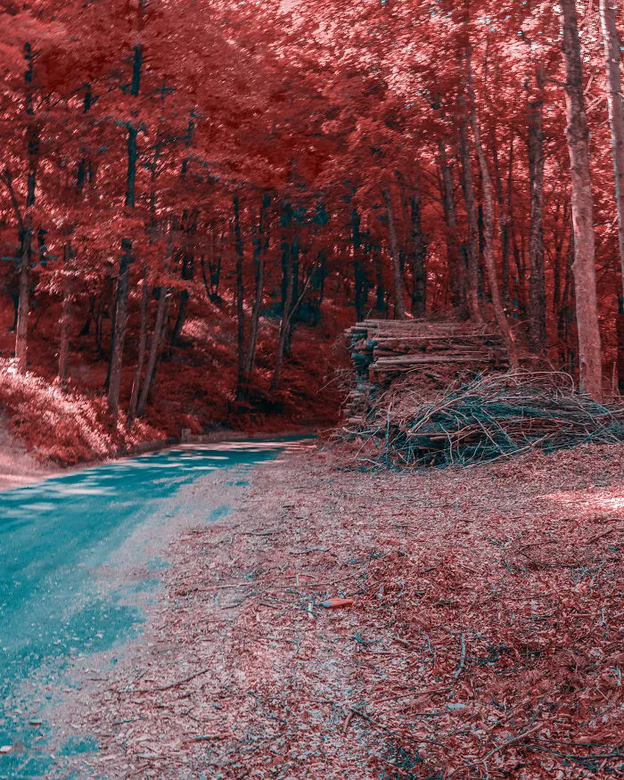 Here's How Colorblind People With Tritanopia See The World