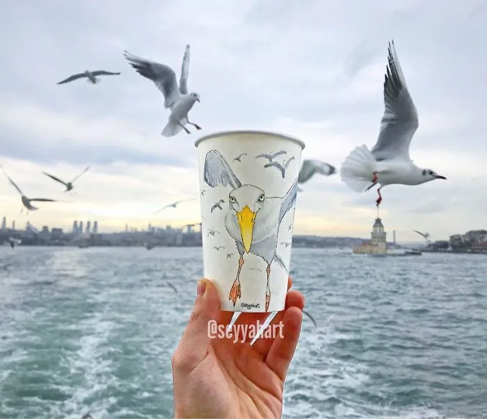 Seagulls From The Bosphorus