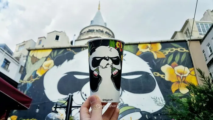 The Angry Panda, Well-Known Graffiti In Istanbul