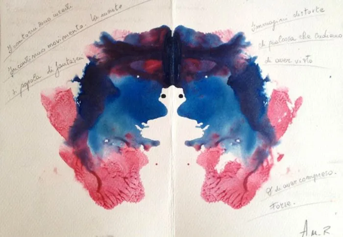 Distorted Images Of Something We Think We Have Seen. Maybe.