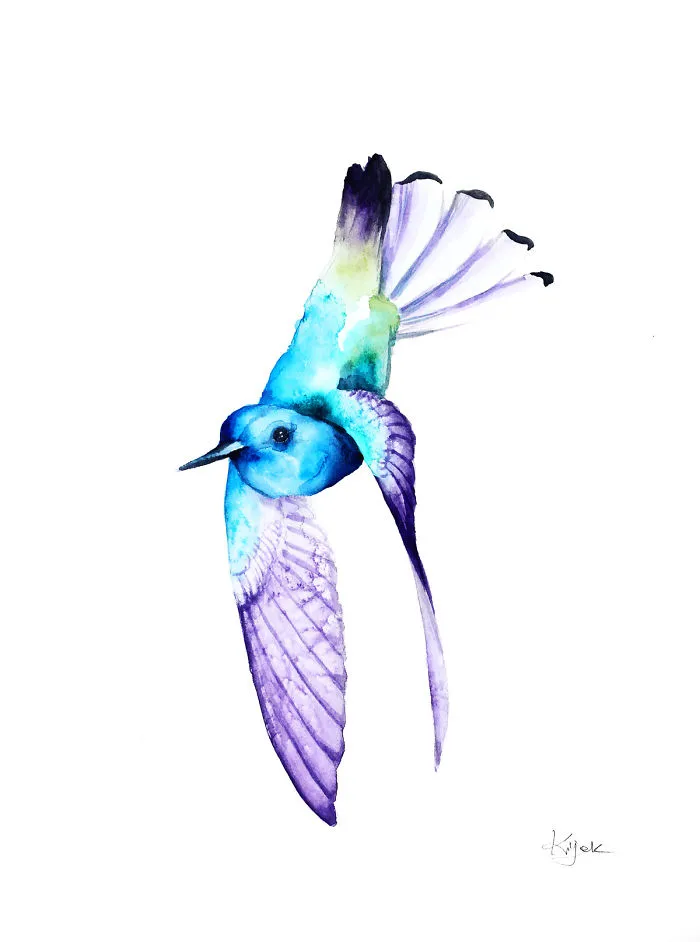 Hummingbird
