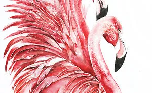 Flying Birds Always Aroused My Admiration, Which Is Why I Want To Illustrate Them