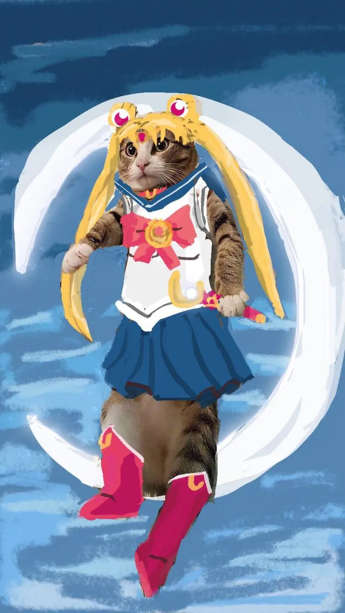 I Make Instastories With My Cat