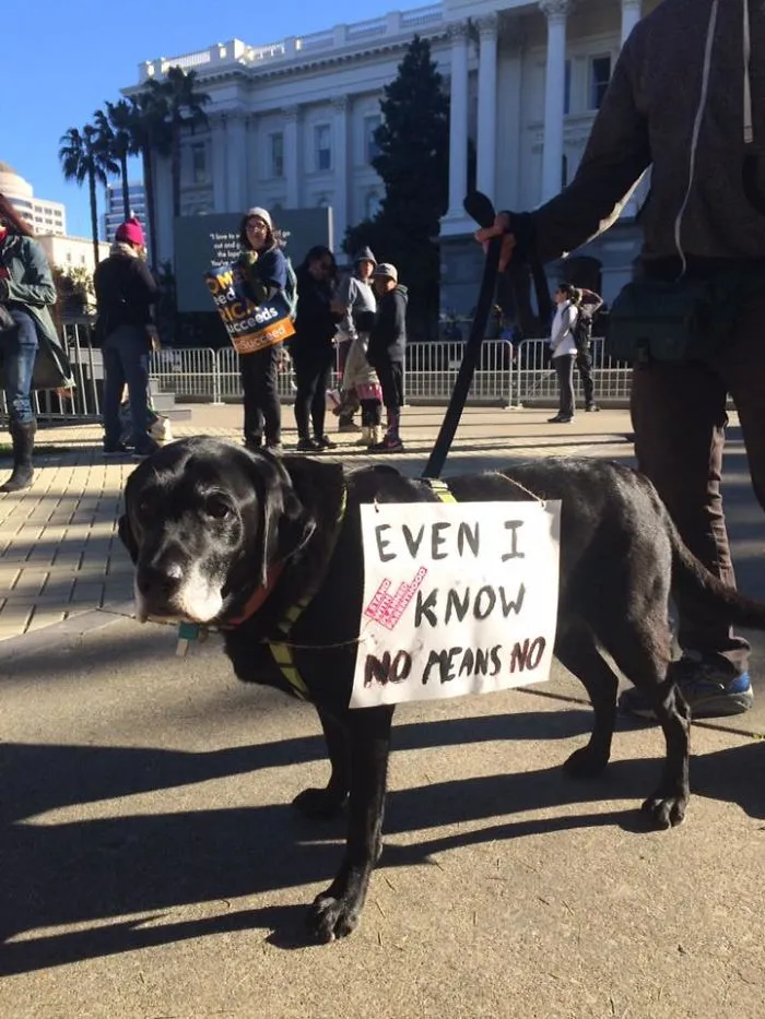 70 Of The Best Signs From The 2018 Women’s March