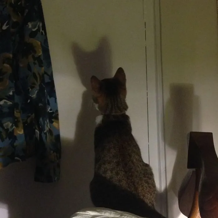 Kahleesi’s Hidden Identity