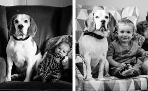 I’ve Taken A Picture Of My Son And Beagle Every Month For The Last Three Years In The Same Chair