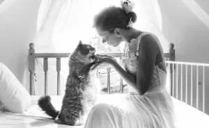I’m A Photographer Who Does Post-Wedding Private Shooting With Cats, And Here’s The Result