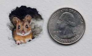 The Beauty Of Little Things: My 30 New Miniature Paintings