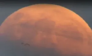 Once In A Lifetime Shot