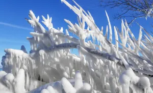 Frozen The Non-Disney Version