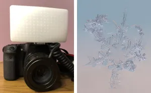 How To Photograph Macro Snowflakes At Home