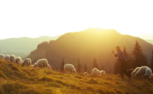3 Lost Professions That The World Needs To Know More About