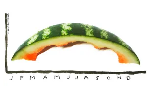 I Make Charts Out Of Everyday Objects
