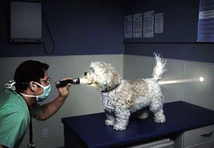 Hmmm