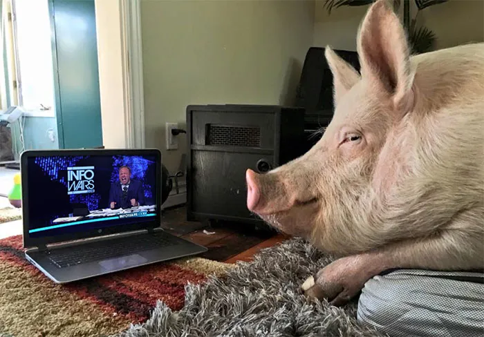 Hmmm